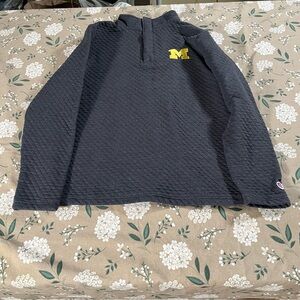 Michigan Wolverines 1/4 Pullover Men's Small Gray Champion Preppy Athletic